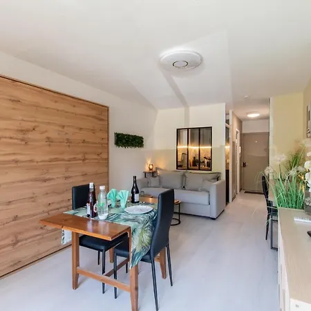 Les Flamants Roses - Studio Avec Balcon Apartment *